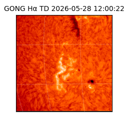 gong - 2026-05-28T12:00:22