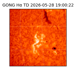 gong - 2026-05-28T19:00:22
