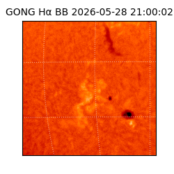 gong - 2026-05-28T21:00:02