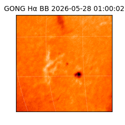 gong - 2026-05-28T01:00:02