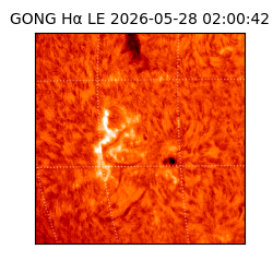 gong - 2026-05-28T02:00:42