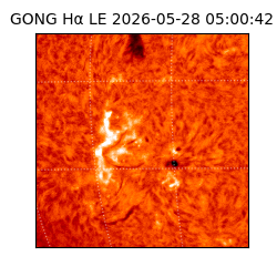 gong - 2026-05-28T05:00:42