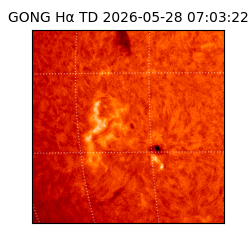 gong - 2026-05-28T07:03:22