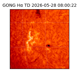gong - 2026-05-28T08:00:22