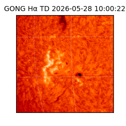 gong - 2026-05-28T10:00:22