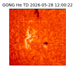 gong - 2026-05-28T12:00:22