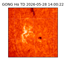 gong - 2026-05-28T14:00:22