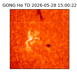 gong - 2026-05-28T15:00:22