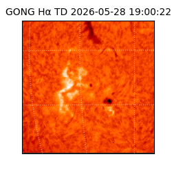 gong - 2026-05-28T19:00:22