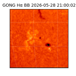 gong - 2026-05-28T21:00:02