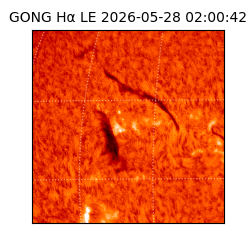 gong - 2026-05-28T02:00:42