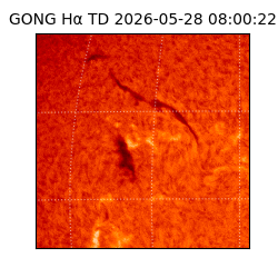 gong - 2026-05-28T08:00:22