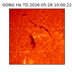 gong - 2026-05-28T10:00:22