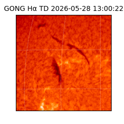 gong - 2026-05-28T13:00:22