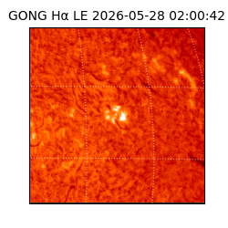 gong - 2026-05-28T02:00:42