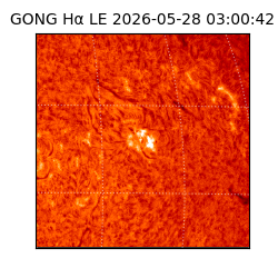 gong - 2026-05-28T03:00:42
