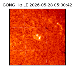 gong - 2026-05-28T05:00:42