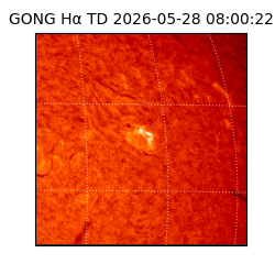 gong - 2026-05-28T08:00:22