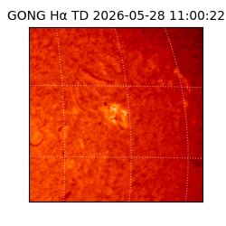 gong - 2026-05-28T11:00:22
