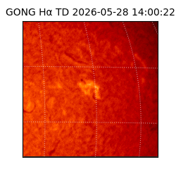 gong - 2026-05-28T14:00:22