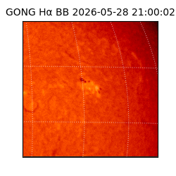 gong - 2026-05-28T21:00:02