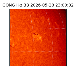 gong - 2026-05-28T23:00:02