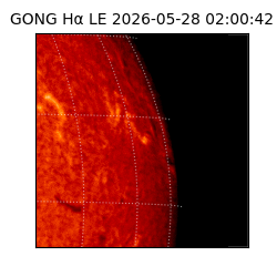 gong - 2026-05-28T02:00:42