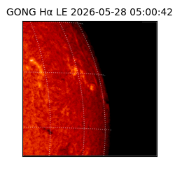gong - 2026-05-28T05:00:42