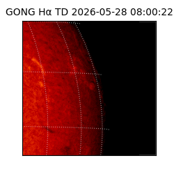 gong - 2026-05-28T08:00:22