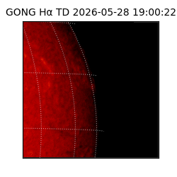 gong - 2026-05-28T19:00:22