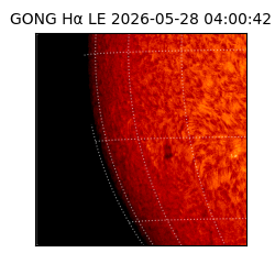 gong - 2026-05-28T04:00:42