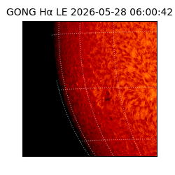 gong - 2026-05-28T06:00:42