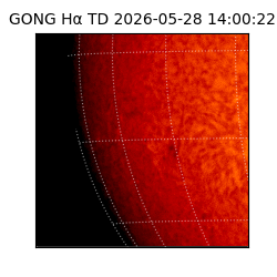 gong - 2026-05-28T14:00:22