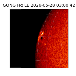 gong - 2026-05-28T03:00:42