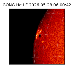 gong - 2026-05-28T06:00:42