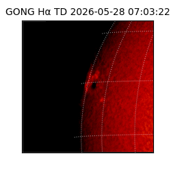 gong - 2026-05-28T07:03:22
