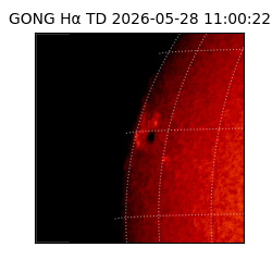 gong - 2026-05-28T11:00:22
