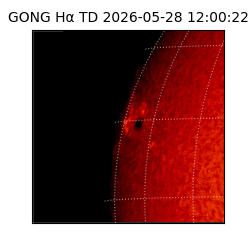 gong - 2026-05-28T12:00:22