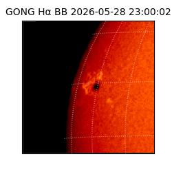 gong - 2026-05-28T23:00:02