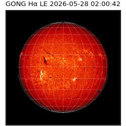 gong - 2026-05-28T02:00:42