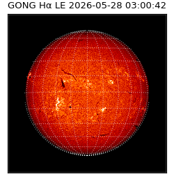 gong - 2026-05-28T03:00:42
