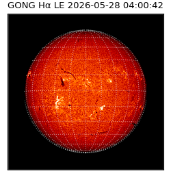 gong - 2026-05-28T04:00:42
