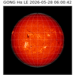 gong - 2026-05-28T06:00:42