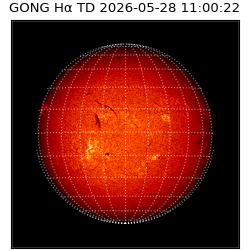 gong - 2026-05-28T11:00:22