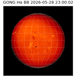 gong - 2026-05-28T23:00:02