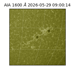 saia - 2026-05-29T09:00:14.130000