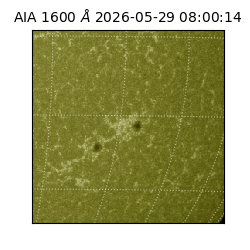 saia - 2026-05-29T08:00:14.131000