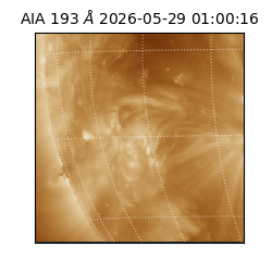 saia - 2026-05-29T01:00:16.842000