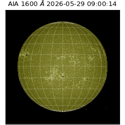 saia - 2026-05-29T09:00:14.130000