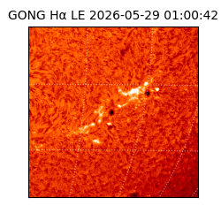 gong - 2026-05-29T01:00:42